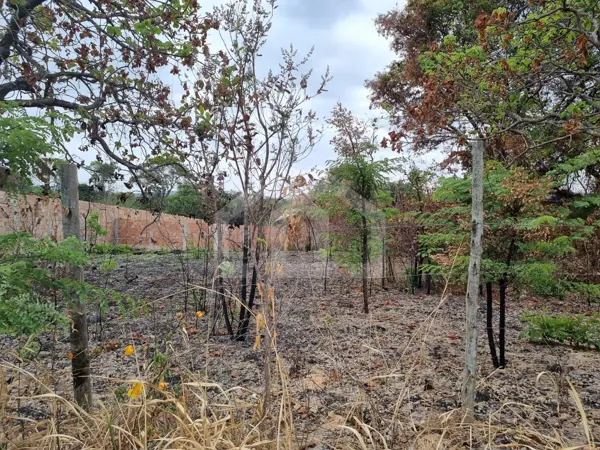 Lote-Área-Terreno 720m²