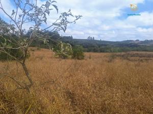 Fazenda 3 quartos 1 banheiro 55ha