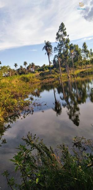 Fazenda 3 quartos 1 banheiro 50ha