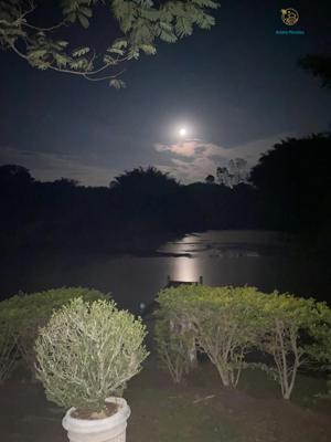 Sítio 4 quartos 5 banheiros 17ha