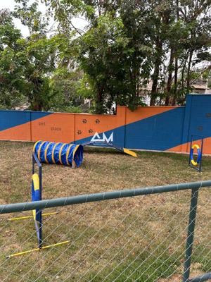 Apartamento 2 quartos 1 banheiro 45m²