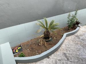 Casa 3 quartos 2 banheiros 223m²
