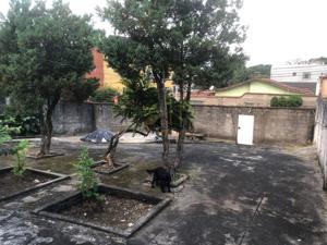Lote-Área-Terreno 3 quartos 2 banheiros 420m²

