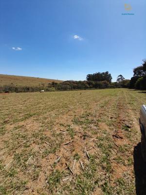 Fazenda 3 quartos 3 banheiros 97ha