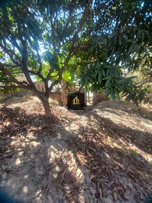 Casa 3 quartos 2 banheiros 360m²