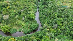 Lote-Área-Terreno 20000m²