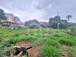 Lote-Área-Terreno 2,712m²
