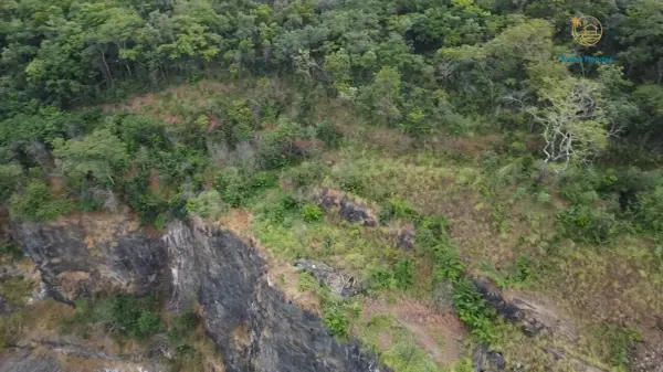 Fazenda 1 quarto 1 banheiro 186ha