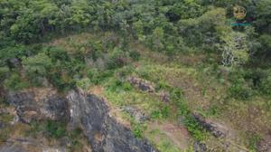 Fazenda 1 quarto 1 banheiro 186ha