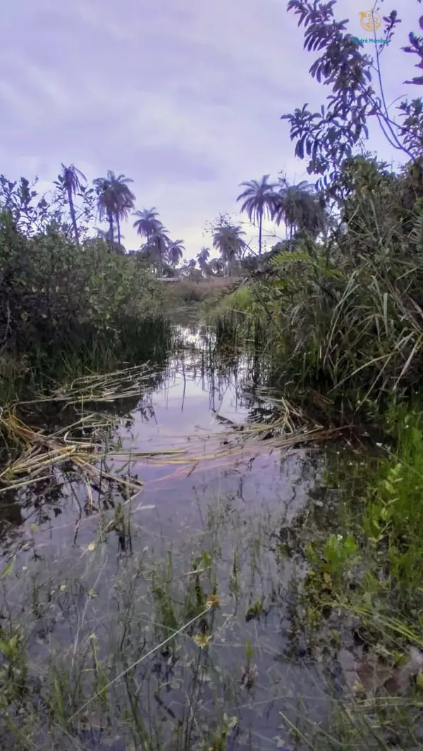 Fazenda 3 quartos 1 banheiro 50ha