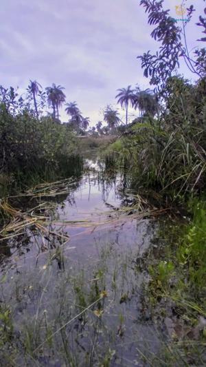 Fazenda 3 quartos 1 banheiro 50ha
