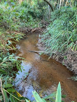 Lote-Área-Terreno 1500m²