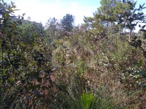 Lote-Área-Terreno 1470m²