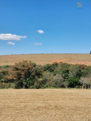 Fazenda 3 quartos 3 banheiros 97ha