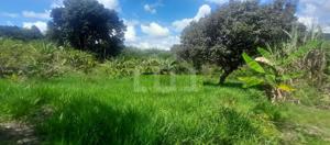 Lote-Área-Terreno 2500m²