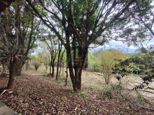 Apartamento 3 quartos 2 banheiros 22700m²