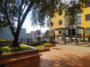 Apartamento 3 quartos 1 vaga 95m²
