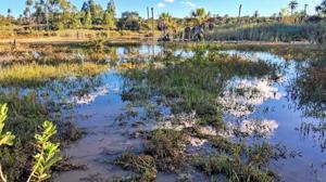 Fazenda 3 quartos 1 banheiro 50ha