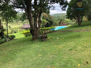 Chácara 3 quartos 1 banheiro 25000m²