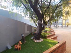 Apartamento 3 quartos 1 vaga 95m²
