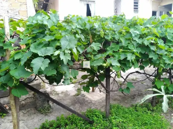 Casa 4 quartos 4 banheiros 280m²