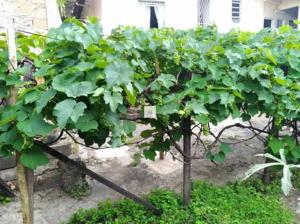 Casa 4 quartos 4 banheiros 280m²