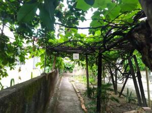 Casa 4 quartos 4 banheiros 280m²