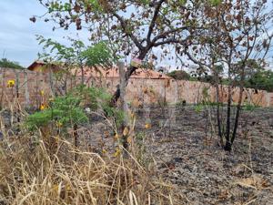 Lote-Área-Terreno 720m²