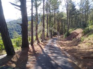 Lote-Área-Terreno 1470m²