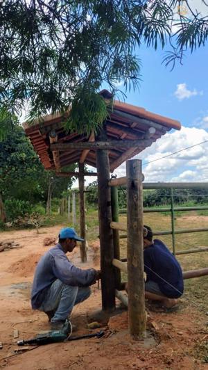 Fazenda 3 quartos 1 banheiro 50ha