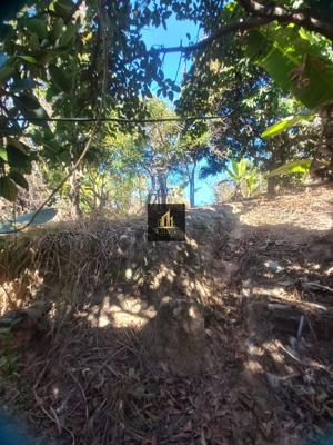 Casa 3 quartos 2 banheiros 360m²