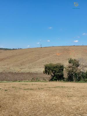 Fazenda 3 quartos 3 banheiros 97ha