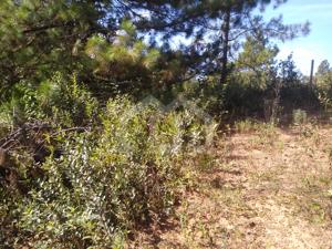 Lote-Área-Terreno 1470m²