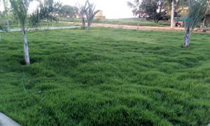 Chácara 5000m²