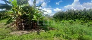 Lote-Área-Terreno 2500m²
