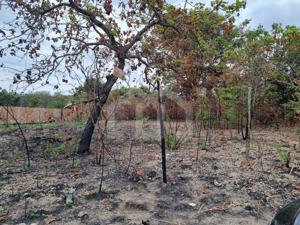 Lote-Área-Terreno 720m²