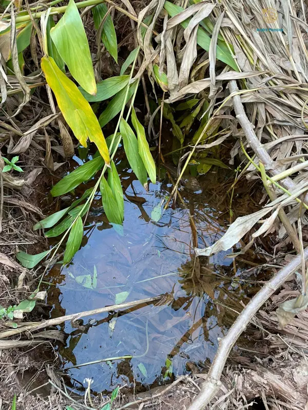 Lote-Área-Terreno 1500m²