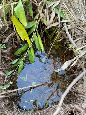 Lote-Área-Terreno 1500m²