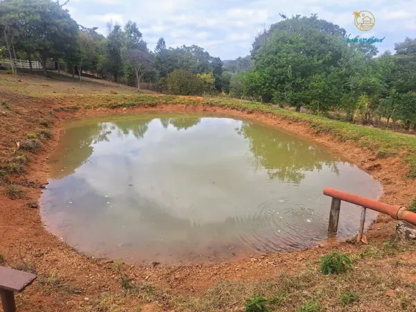 Fazenda 3 quartos 1 banheiro 55ha