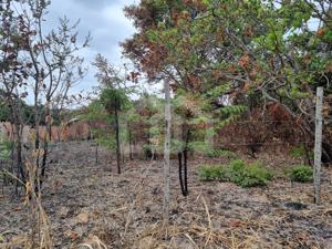 Lote-Área-Terreno 720m²