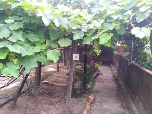 Casa 4 quartos 4 banheiros 280m²