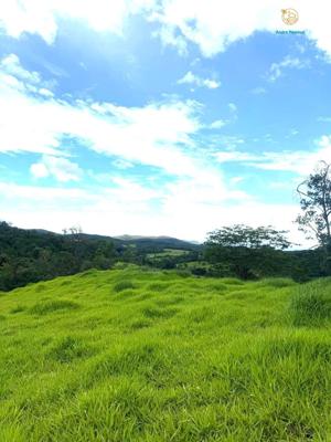 Lote-Área-Terreno 20000m²