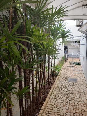 Apartamento 3 quartos 3 banheiros 270m²