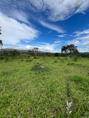 Lote-Área-Terreno 20000m²