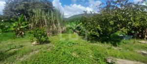 Lote-Área-Terreno 2500m²
