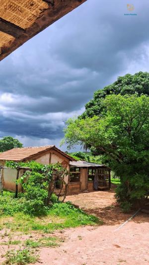 Fazenda 3 quartos 1 banheiro 50ha