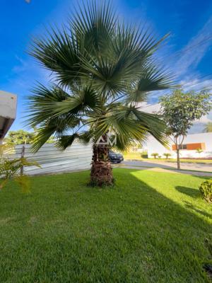 Apartamento 3 quartos 2 banheiros 1365m²