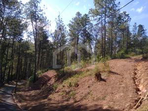 Lote-Área-Terreno 1470m²