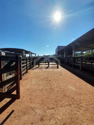Fazenda 