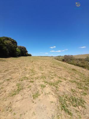 Fazenda 3 quartos 3 banheiros 97ha